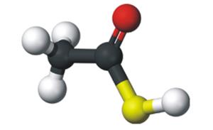 > </div>
<div class=